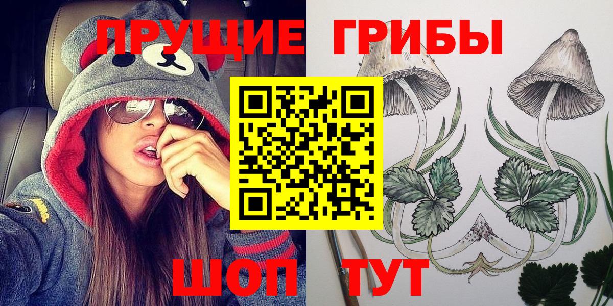 Сургут  Псилоцибиновые грибы мицелий  Вход с VPN 